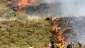 Israeli military: Off-duty soldier set fire to Palestinian fields
