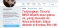Tweeter MKO Pasok AS dengan Hoax tentang Iran