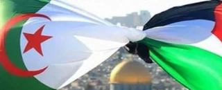 أسباب فرحة الفلسطينيين 
بفوز المنتخب الجزائري