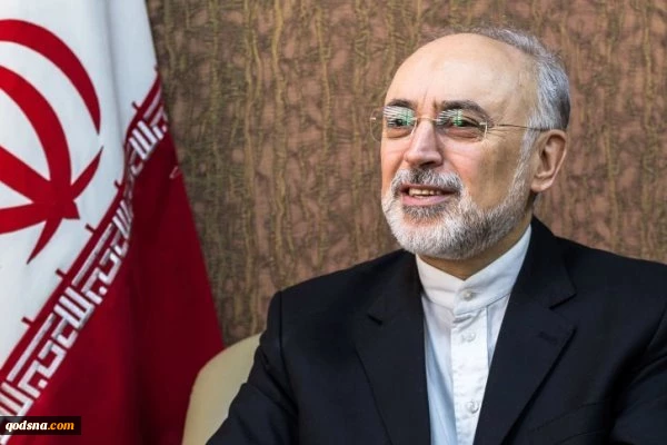 صالحی:

آماده اجرای گام سوم هستیم/ امکان غنی‌سازی سانتریفیوژهای فردو 2
