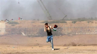 Over 75 Gazans injured by Israeli forces