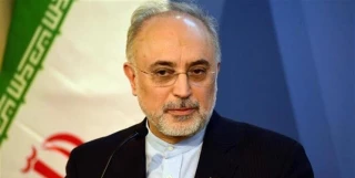 مدیرکل موقت آژانس بین‌‌المللی انرژی اتمی با صالحی دیدار کرد