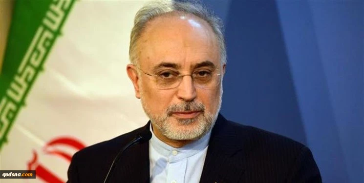 مدیرکل موقت آژانس بین‌‌المللی انرژی اتمی با صالحی دیدار کرد 2