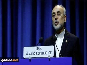 دکتر صالحی در شصت و سومین کنفرانس آژانس:

برجام نقطه عطفی در تاریخ چندجانبه گرایی
