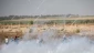 Palestinian killed by Israeli fire in Gaza