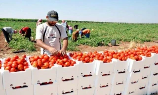 جنگ تجاری فلسطین و رژیم صهیونیستی بالا گرفت