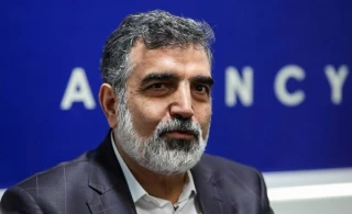 سفیر فرانسه در تهران با کمالوندی دیدار کرد