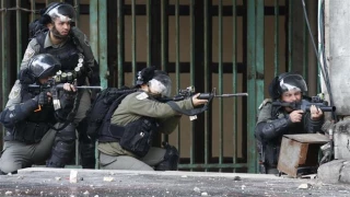 US insists on covering up Israeli crimes against Palestinians: Hamas