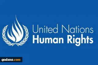 International Human Rights Committee condemns violence against African Americans