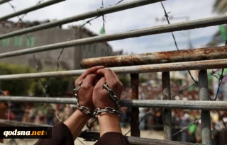 Four Palestinian captives remain on hunger strike