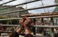 Four Palestinian captives remain on hunger strike