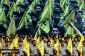 Israel's latest round of fighting with Hezbollah isn't over