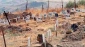 Zionist regime approves policy of withholding bodies of all martyred Palestinians