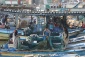 Gaza fishermen catch 73 giant tuna fish in the Mediterranean