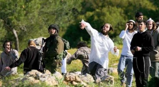 Two Palestinians injured in Israeli settler attack in W. Bank