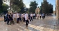 Zionist settlers desecrate Al-Aqsa Mosque