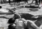 64th anniversary of Kafr Qasem massacre