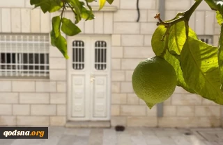 تاکید اهالی منطقه «شیخ جراح» قدس بر ادامه مقاومت و پایداری در برابر اشغالگران