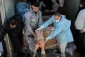 Gaza Strip receives 20,000 doses of COVID vaccines