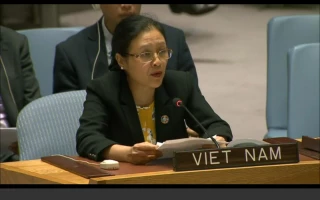 Vietnam welcomes progress towards holding election in Palestine