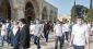 Over 190 settlers defile Aqsa under police guard