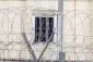 Palestine calls for protection of captives in Zionists’ jails