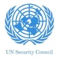 Syria urges UNSC to take firm action against Israeli aggression