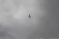 Zionist army drone shot down