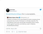 Celebrities support Palestine and call for solidarity with Palestinians 3