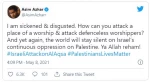 Celebrities support Palestine and call for solidarity with Palestinians 4