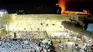 Trees in Al-Aqsa Mosque caught on fire
