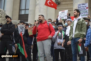 Hundreds of Portsmouth protesters show solidarity with Palestine amid Gaza tensions