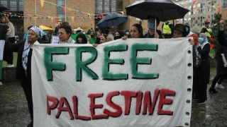 International solidarity with Palestine continues after truce