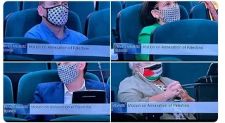 Irish senator calls for sanctions on Zionist regime