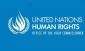 UNHRC expected to open war crimes probe into Israeli aggressions