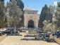 Palestinians performed Friday prayer in Al-Aqsa Mosque- Photos