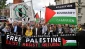 Solidarity with Palestine growing among workers unions around world