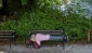 Number of Israeli homeless grew 27 percent last year
