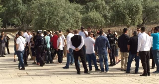 Over 230 Zionist settlers defile Aqsa Mosque