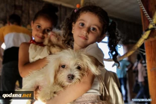 Pet exhibition held in Gaza City, Palestine
 2
