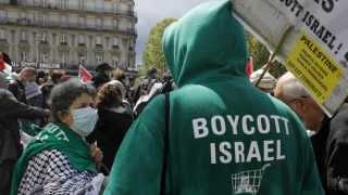 More than 150 academics call on EU to stop funding Israeli universities