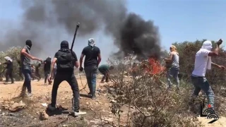 Nearly 170 Palestinians injured in Israeli attack on anti-settlement protests