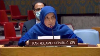 UNSC must compel Israel to stop aggression on Syrian soil: Iran envoy