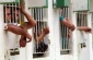 NGO: 200 minors, 40 women among 4650 Palestinian resistance fighters held in Israeli prisons