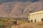 Islamic Jihad warns Israel against ‘collective punishment’ of Palestinian inmates