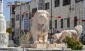 PA plans to hold municipal elections in December