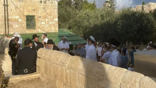 Over 560 Zionist settlers storm Aqsa Mosque in occupied al-Quds