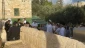 Over 560 Zionist settlers storm Aqsa Mosque in occupied al-Quds