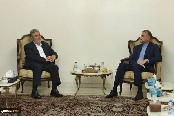 Iran FM, Palestine Islamic Jihad head hold meeting