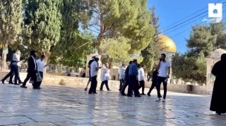 Bahraini delegation joins al-Aqsa Mosque raid by Zionist settlers